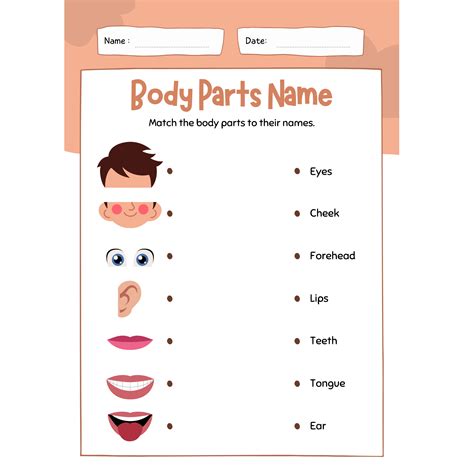 See How 10 Body Parts Got Their Names .